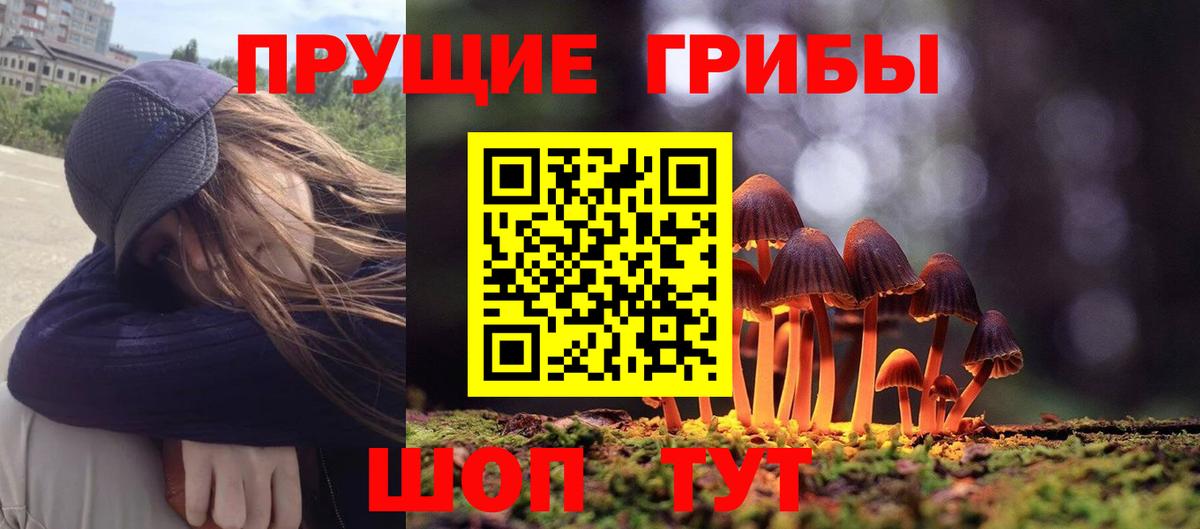 Псилоцибиновые грибы Psilocybine cubensis Гулькевичи